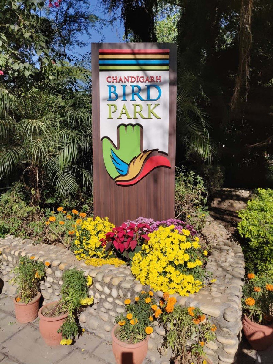 Chandigarh Bird Park