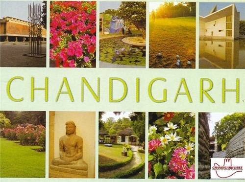 5 Best Places in Chandigarh for All Visitors